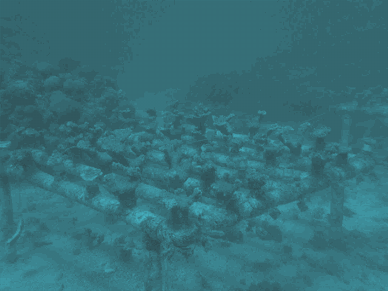 Harnessing Innovation to Boost Sexual Coral Reproduction for Reef Restoration in the Dominican Republic